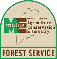 Maine Forest Service